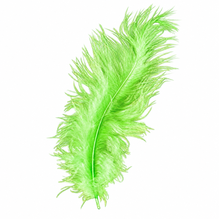 Decorative Feathers Lime Green 5g – 1 pack