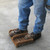 Boot Scraper