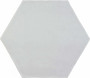 Silver Hex