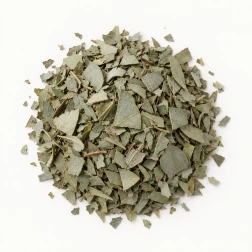 Image - Loose dried eucalyptus leaf on a warm-white background.