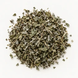 Image - Loose dried mugwort on a warm-white background.