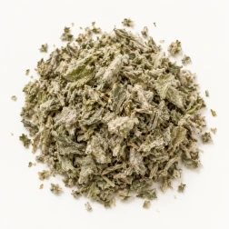 Image - Loose dried mullein leaf on a warm-white background.