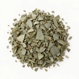 Image - Loose dried eucalyptus leaf on a warm-white background.