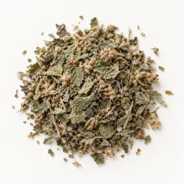 Image - Loose dried catnip leaf and flower on a warm-white background.