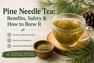 Image - Pine Needle Tea Benefits & Recipe