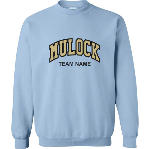 SWM Adult Heavy Blend Fleece Crewneck Sweatshirt - Light Blue (SWM-016-LB)