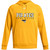 PPO Men’s UA Rival Hoodie - Steeltown Gold (Design 1) (PPO-103-GO)