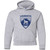 LES Youth Heavy Blend Hooded Sweatshirt - Sport Grey (LES-333-SG)