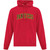DNV Adult Fleece Hooded Sweatshirt - Red (DNV-019-RE)