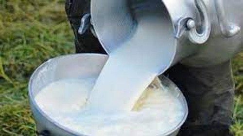 Raw Cow Milk 3 cups/ Leche cruda de vaca 3 tazas ( frozen)