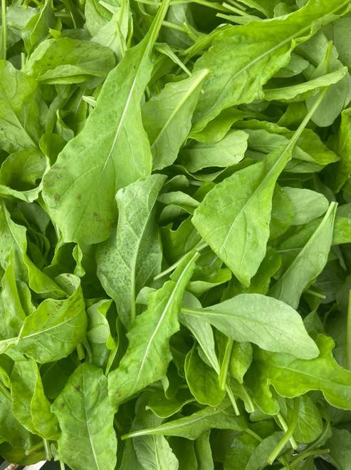 Arugula 250 gr