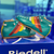 Riedell 495 Custom Color Roller Skate (Boot Only) Riedell 495 Custom Color Roller Skate (Boot Only)