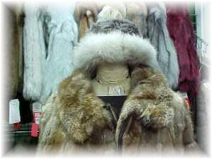 Sectional Beaver Fur Jacket with Zipper