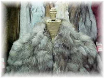 Indigo Fox Fur Jacket 1 Indigo Fox Fur Jacket 1
