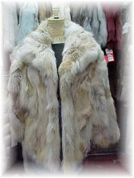 Sectional Coyote Fur Jacket 3 Sectional Coyote Fur Jacket 3