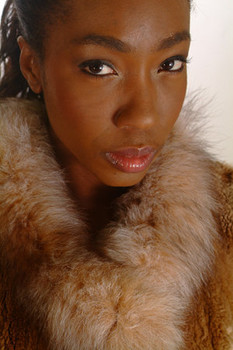 Crystal Fox Beaver Fur Vest Sectional Trim Crystal Fox Beaver Fur Vest Sectional Trim