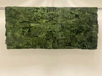 SWAKARA SECTION GREEN PLATE