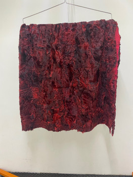 SWAKARA SECTION RED PLATES