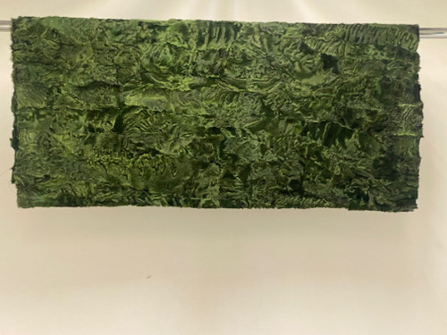 SWAKARA SECTION GREEN PLATE