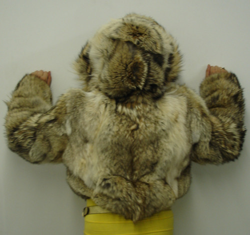 Coyotte Fur Bolero Jacket Lenght 20" Sleeve 30" Crossback 16 1/2" Wing Collar Elastic Cuffs Elastic Bottom Stright Cuffs Hooded Jacket Zipper Fur Origin: Norway France Manufacturing: USA