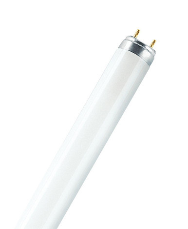 LDVL58865