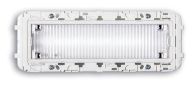 LENSG1901