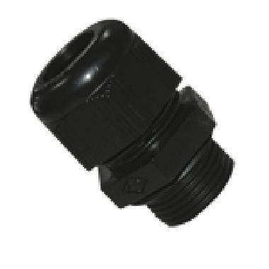 PAL571029EX