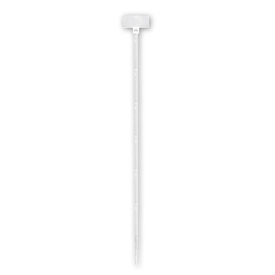 ARNFTS10025