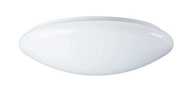 SYL0043436
