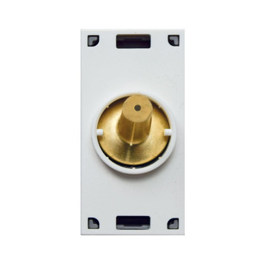 AVE444053ORO