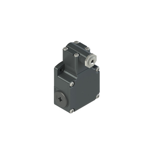 PZZFL 540