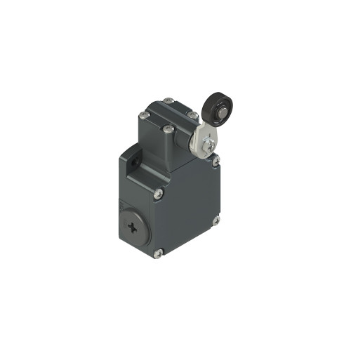 PZZFL 531