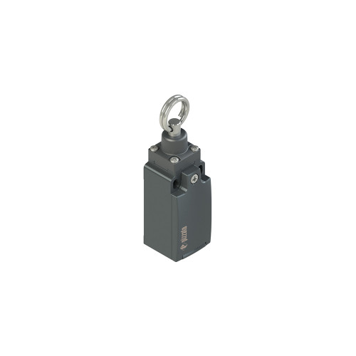 PZZFM 576-M2