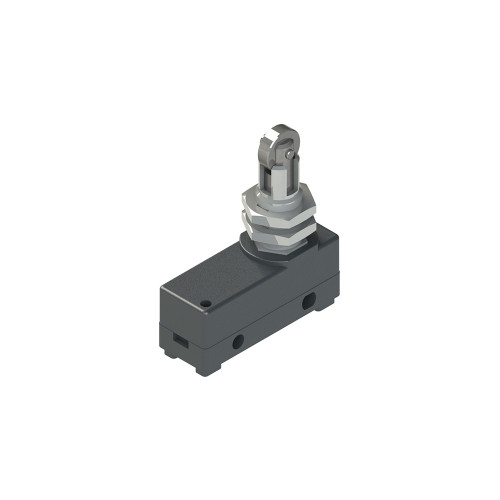PZZMS 20