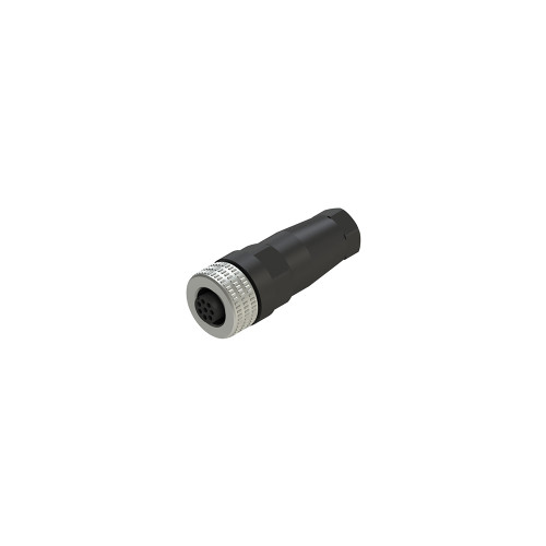 PZZVF CBMP5DM04