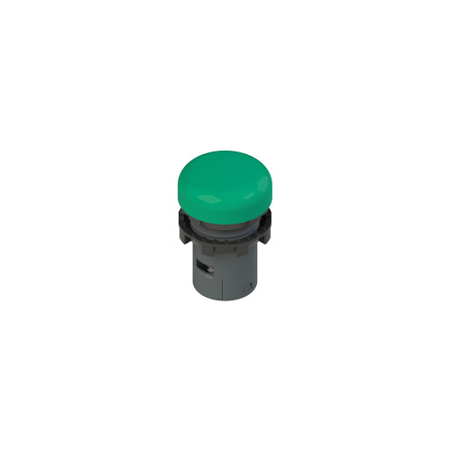 PZZE6 1IL1A4110