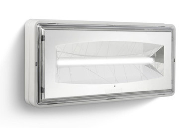 LENCI1306