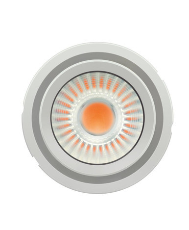 LDVPLCOB430084040G2