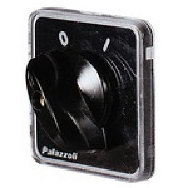 PAL292316