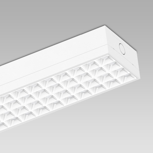 ACL0217002A-11
