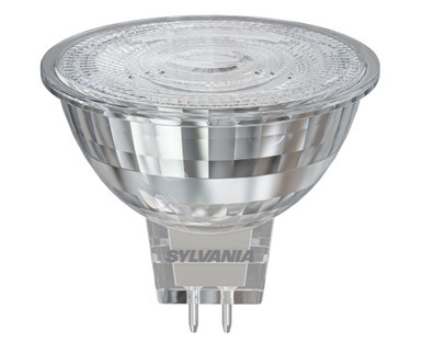 SYL0029235