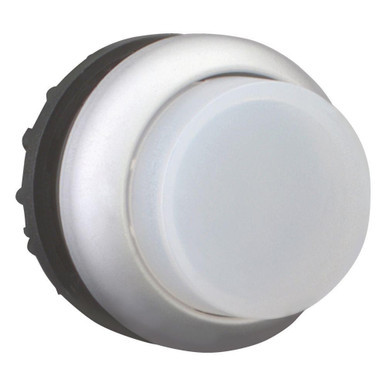 EAO216965