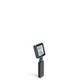 LOMLL115032N