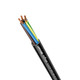 LPP0026007