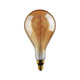 RSSL.292-5-GOLD