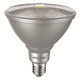 SYL0029200