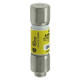 EAOLP-CC-3