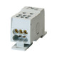 EAO289970