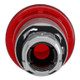 SNRZB4BW443