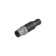 PZZVF CY100P0